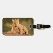 Kutest Baby Animals | Twee lionkubussen Bagagelabel (Voorkant horizontaal)