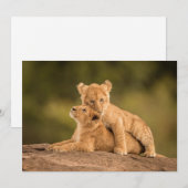 Kutest Baby Animals | Twee lionkubussen Bedankkaart (Voorkant / Achterkant)