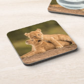 Kutest Baby Animals | Twee lionkubussen Bier Onderzetter (Linkerzijde)