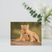 Kutest Baby Animals | Twee lionkubussen Briefkaart (Staand voorkant)