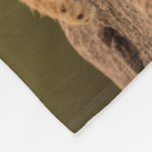 Kutest Baby Animals | Twee lionkubussen Fleece Deken (Hoek)