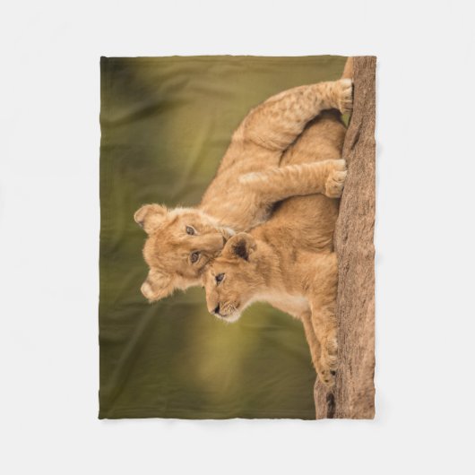 Kutest Baby Animals | Twee lionkubussen Fleece Deken (Voorkant)