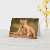 Kutest Baby Animals | Twee lionkubussen Kaart (Gele Bloem)
