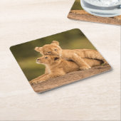 Kutest Baby Animals | Twee lionkubussen Kartonnen Onderzetters (Schuin)