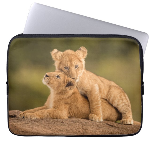 Kutest Baby Animals | Twee lionkubussen Laptop Sleeve (Voorkant)