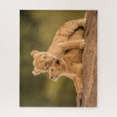 Kutest Baby Animals | Twee lionkubussen Legpuzzel (Verticaal)