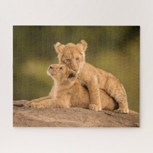 Kutest Baby Animals   Twee lionkubussen Legpuzzel
