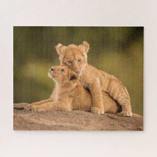 Kutest Baby Animals | Twee lionkubussen Legpuzzel (Horizontaal)