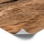 Kutest Baby Animals | Twee lionkubussen Poster (Hoek)