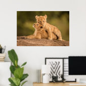 Kutest Baby Animals | Twee lionkubussen Poster (Thuiskantoor)