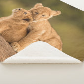 Kutest Baby Animals | Twee lionkubussen Sherpa Deken (3/4)