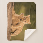Kutest Baby Animals | Twee lionkubussen Sherpa Deken (Voorkant)