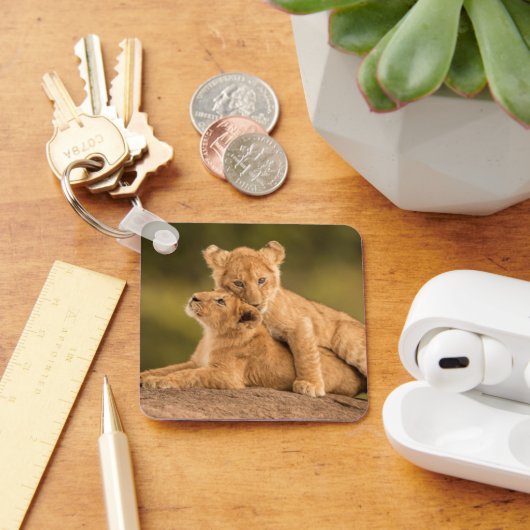 Kutest Baby Animals | Twee lionkubussen Sleutelhanger (Bureau)