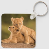 Kutest Baby Animals | Twee lionkubussen Sleutelhanger (Achterkant)