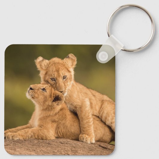 Kutest Baby Animals | Twee lionkubussen Sleutelhanger (Achterkant)