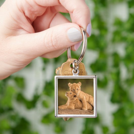 Kutest Baby Animals | Twee lionkubussen Sleutelhanger (Hand)