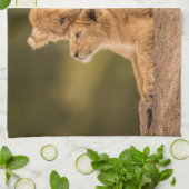 Kutest Baby Animals | Twee lionkubussen Theedoek (Gevouwen)