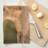 Kutest Baby Animals | Twee lionkubussen Theedoek (Quarter Fold)