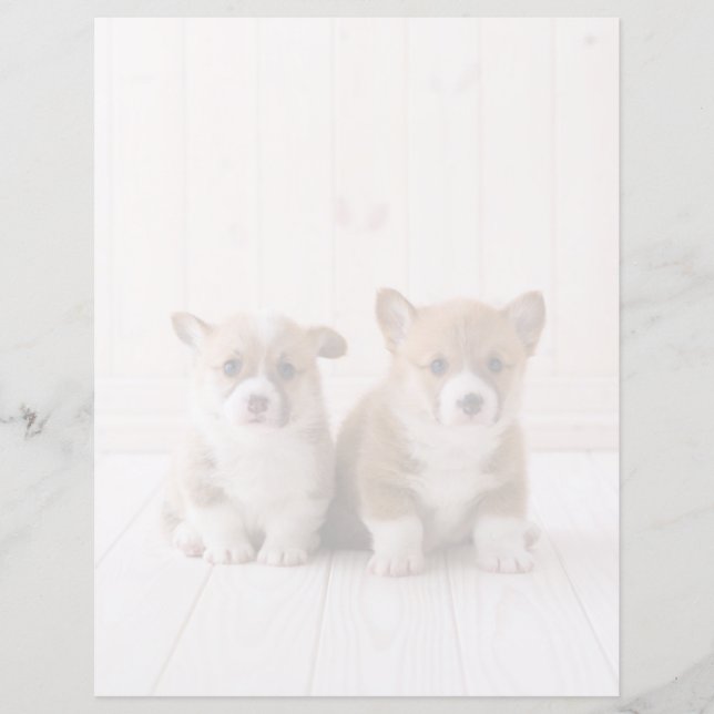 Kutest Baby Animals | Twee vergaderingen van de Ba (Voorkant)