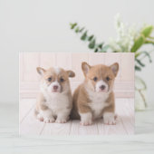 Kutest Baby Animals | Twee vergaderingen van de Ba Bedankkaart (Staand voorkant)