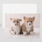 Kutest Baby Animals | Twee vergaderingen van de Ba Bedankkaart (Voorkant / Achterkant)