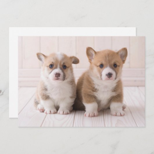 Kutest Baby Animals | Twee vergaderingen van de Ba Bedankkaart (Voorkant / Achterkant)