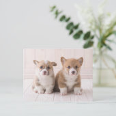 Kutest Baby Animals | Twee vergaderingen van de Ba Briefkaart (Staand voorkant)