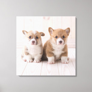 Kutest Baby Animals Twee vergaderingen van de Ba Canvas Afdruk