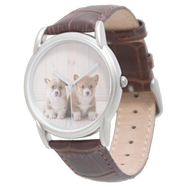Kutest Baby Animals | Twee vergaderingen van de Ba Horloge (Gekanteld)