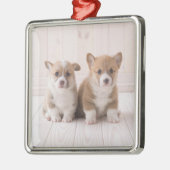 Kutest Baby Animals | Twee vergaderingen van de Ba Metalen Ornament (Links)