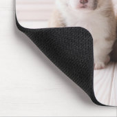 Kutest Baby Animals | Twee vergaderingen van de Ba Muismat (Hoek)