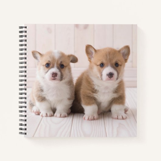 Kutest Baby Animals | Twee vergaderingen van de Ba Notitieboek (Voorkant)