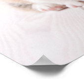 Kutest Baby Animals | Twee vergaderingen van de Ba Poster (Hoek)