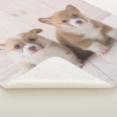 Kutest Baby Animals | Twee vergaderingen van de Ba Sherpa Deken (3/4)