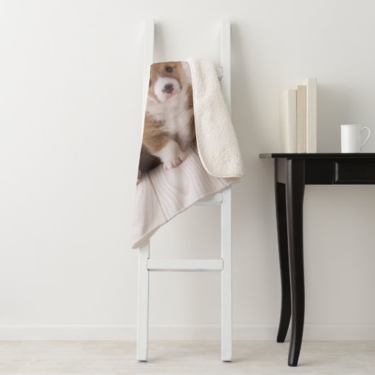 Kutest Baby Animals | Twee vergaderingen van de Ba Sherpa Deken (In situ)