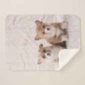 Kutest Baby Animals | Twee vergaderingen van de Ba Sherpa Deken (Voorkant (horizontaal))