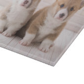 Kutest Baby Animals | Twee vergaderingen van de Ba Snijplank (Hoek)