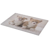 Kutest Baby Animals | Twee vergaderingen van de Ba Snijplank (Hoek)