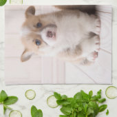 Kutest Baby Animals | Twee vergaderingen van de Ba Theedoek (Gevouwen)