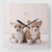 Kutest Baby Animals | Twee vergaderingen van de Ba Vierkante Klok (Voorkant)