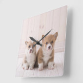 Kutest Baby Animals | Twee vergaderingen van de Ba Vierkante Klok (Hoek)