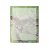 Kutest Baby Animals | Urban Fox Notitieblok (Linkerzijde)