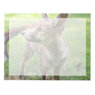 Kutest Baby Animals Urban Fox Notitieblok