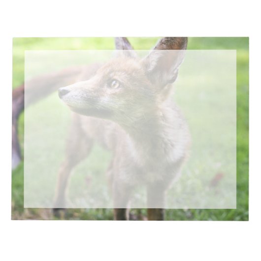 Kutest Baby Animals | Urban Fox Notitieblok (Voorkant)