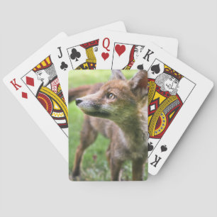 Kutest Baby Animals   Urban Fox Pokerkaarten