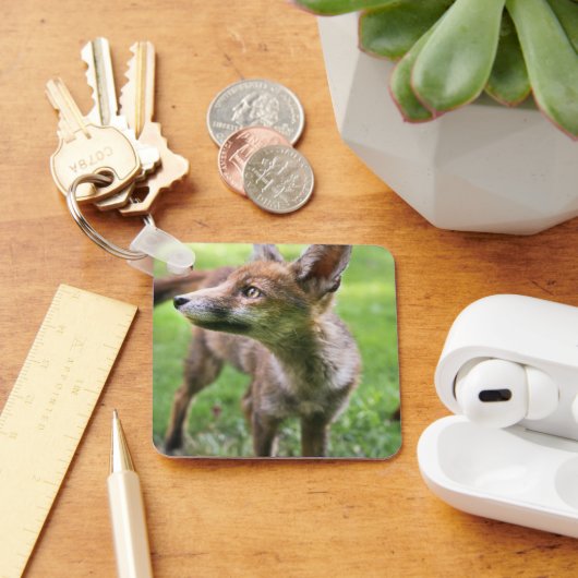 Kutest Baby Animals | Urban Fox Sleutelhanger (Bureau)