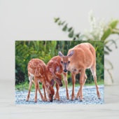 Kutest Baby Animals | Verdwenen met baby's Bedankkaart (Staand voorkant)