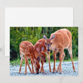 Kutest Baby Animals | Verdwenen met baby's Bedankkaart (Voorkant / Achterkant)