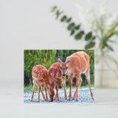 Kutest Baby Animals | Verdwenen met baby's Briefkaart (Staand voorkant)