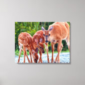 Kutest Baby Animals | Verdwenen met baby's Canvas Afdruk (Voorkant)